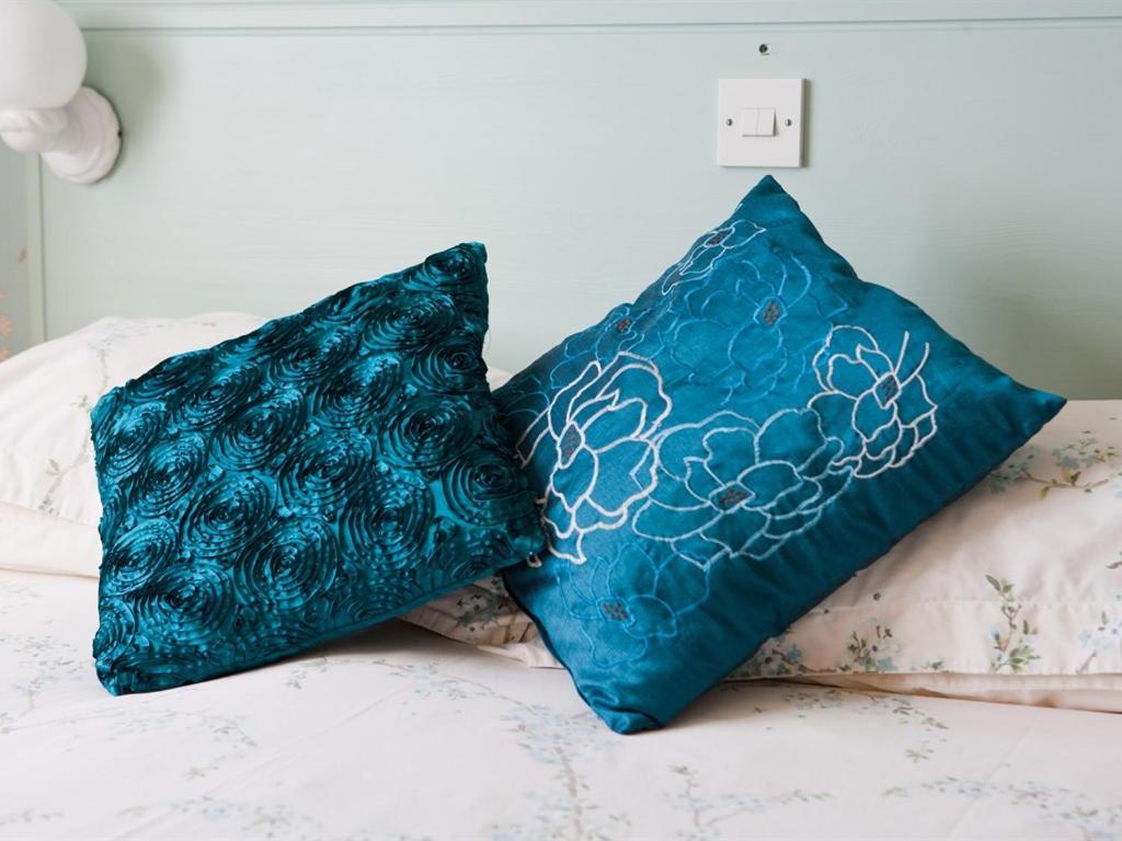 The Aqua Bed & Breakfast Shanklin Bilik gambar